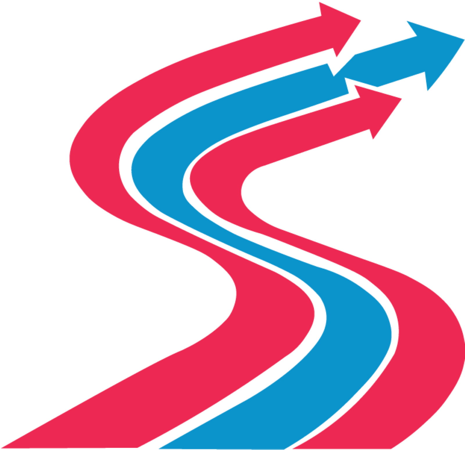 Sea Hawks Synergy Logo